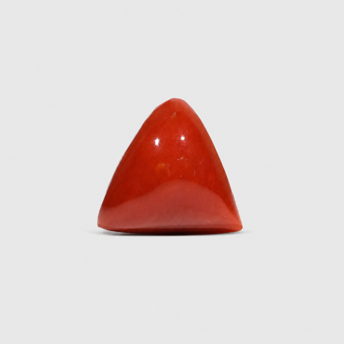 Red Coral – Moonga